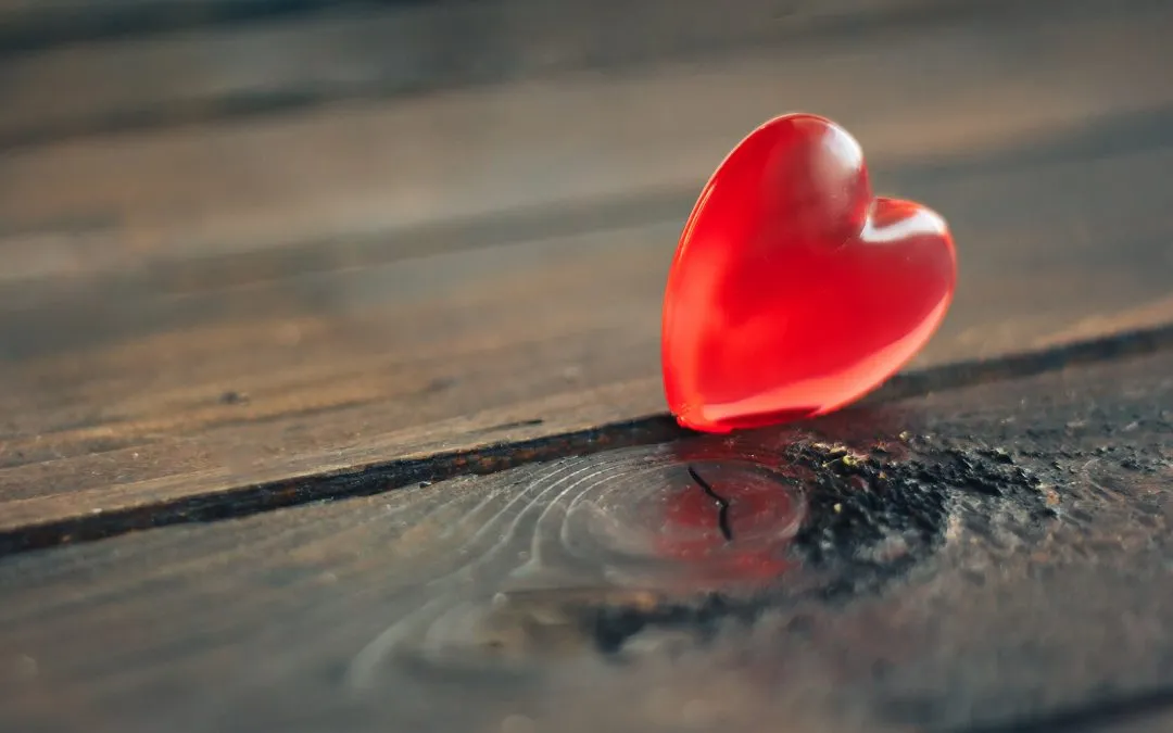 Top Tips To Care For Your Wood Floors